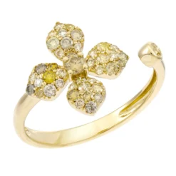 I1 Fancy-Brillant-Goldring