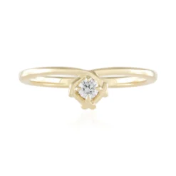 IF (G) Brillant-Goldring