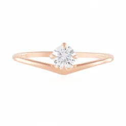 IF (G) Brillant-Goldring (de Melo)