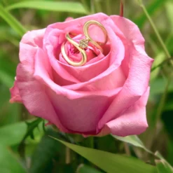 SI1 Argyle-Rose de France-Brillant-Silberring