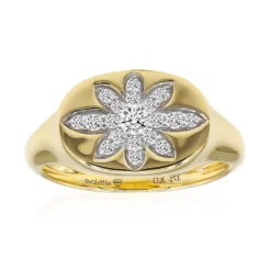 SI1 (G) Brillant-Goldring