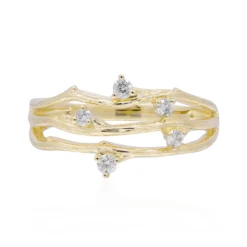 SI2 (H) Brillant-Goldring
