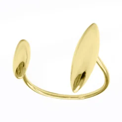 Silberring