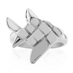 Silberring