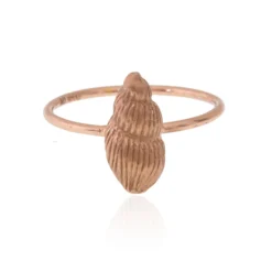 Silberring