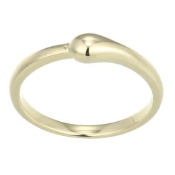 Silberring
