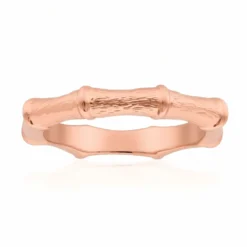 Silberring