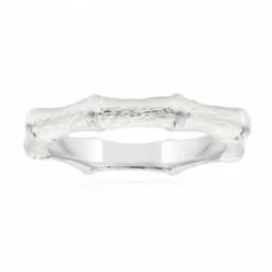 Silberring
