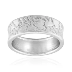 Silberring