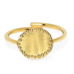 Silberring