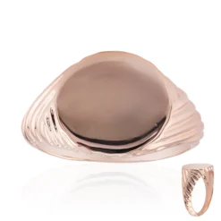Silberring