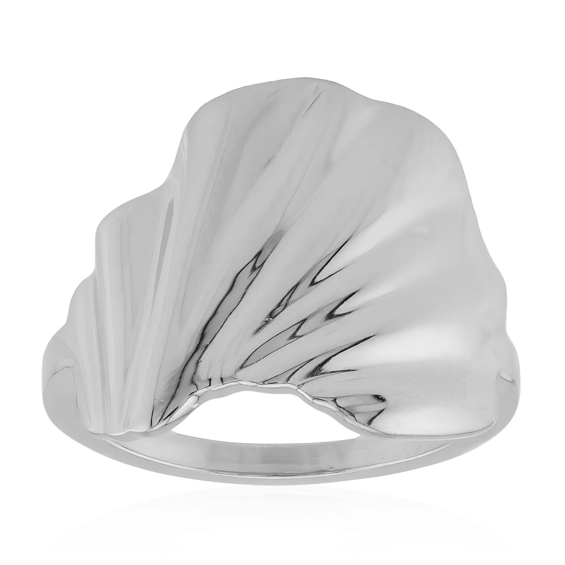 Silberring
